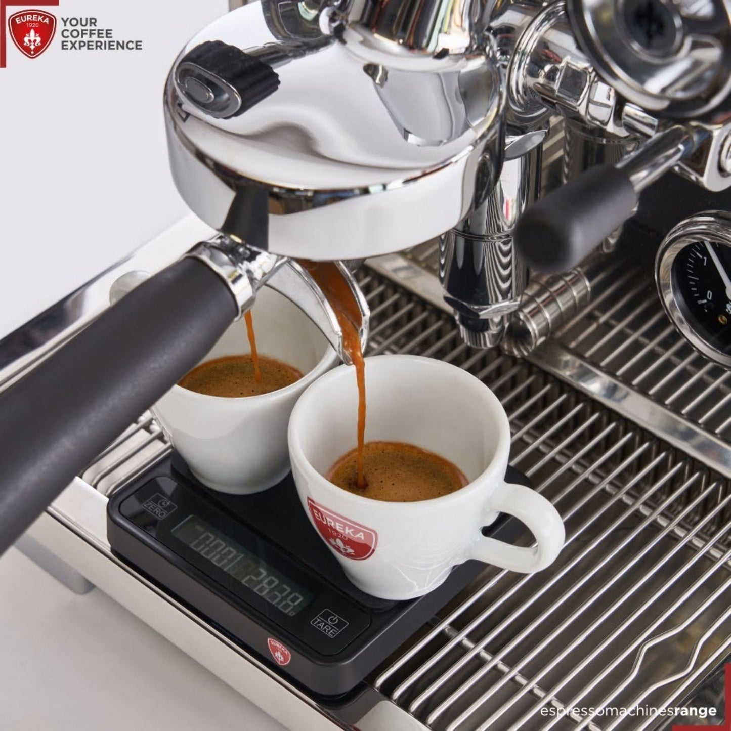 Eureka Precisa Digital Scale